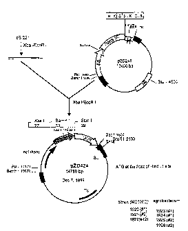 Une figure unique qui représente un dessin illustrant l'invention.